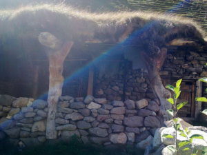 eltubu kavkaz