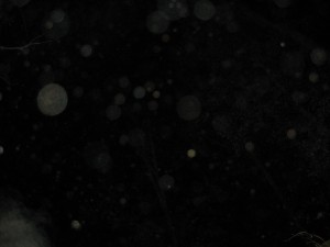 Изображение 261