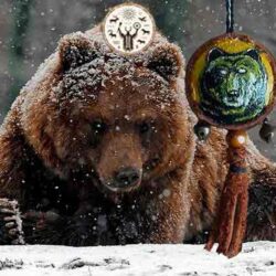 totem medved shamanhug
