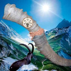 shamanskiy gorn solnca shamanskiy gorn solnca