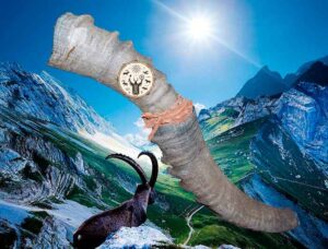 shamanskiy gorn solnca