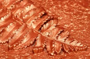list mednij