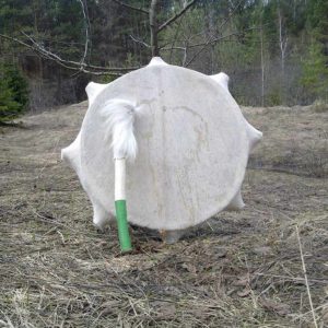 shamanskii buben