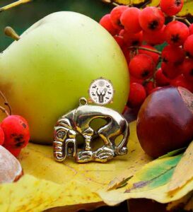 skifi medved shamanhug