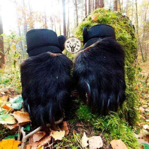 lapi medvedja shamanhug