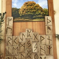 runi iz duba