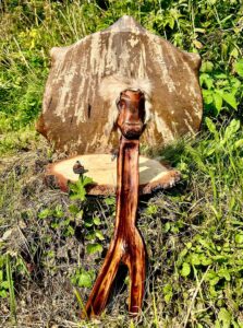 kolotushka dlya shaman bubna hozyain taygi main