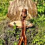 kolotushka dlya shaman bubna hozyain taygi main